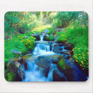 Sky Meadows in the Sierra Nevada Mountains Mouse Pad