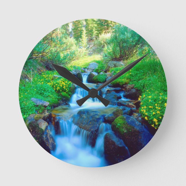 Sky Meadows in the Sierra Nevada Mountains Round Clock (Front)