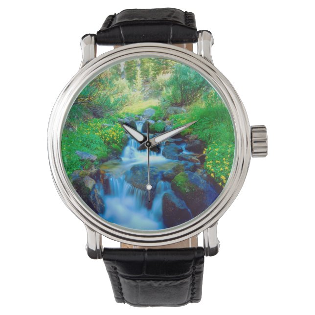 Sky Meadows in the Sierra Nevada Mountains Watch (Front)