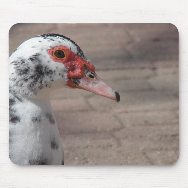 Sky Mouse Pad (Front)