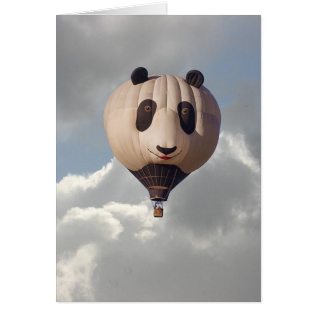 SKY PANDA (Front)