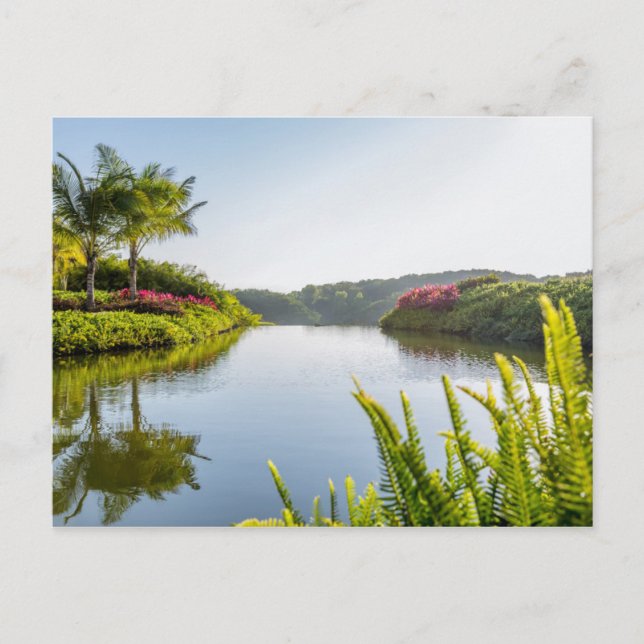 Sky Reflected In Still Tropical Lake Postcard (Front)
