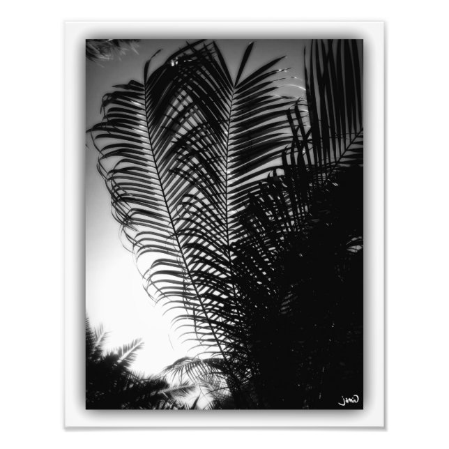 Sky Scrapers Photo Print (Front)