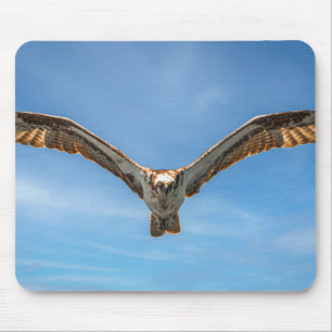 Sky Sovereign Osprey Flight Wildlife Photo Art Mouse Pad
