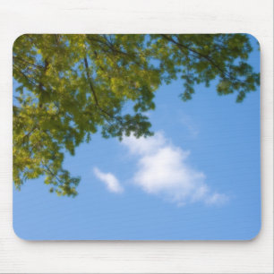 sky view with tree top mouse pad