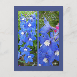 SKYBLUES BOOKMARKS POSTCARD