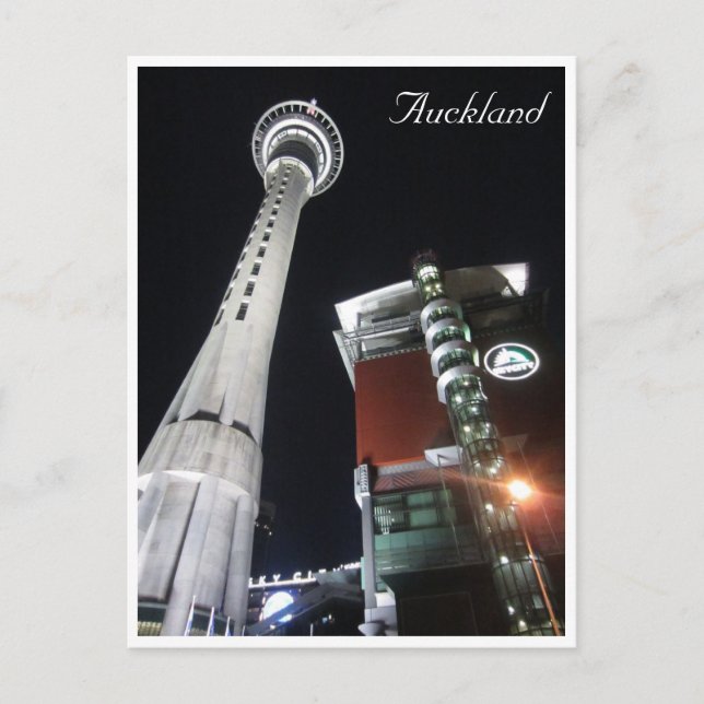 skycity tower auckland postcard (Front)
