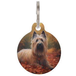 Skye Terrier in Autumn Leaves Fall Inspire Pet Tag