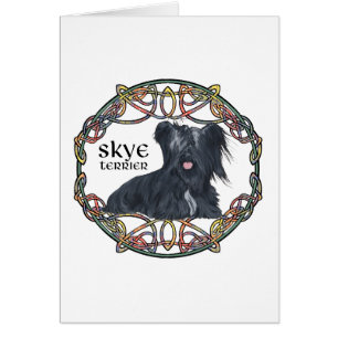 Skye Terrier in Celtic Knotwork - Buchanan Tartan