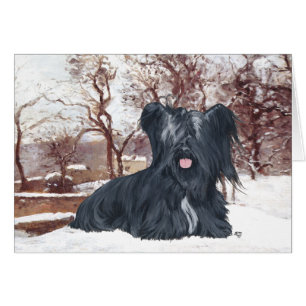 Skye Terrier in Wintertime