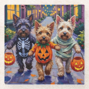 Skye Terrier Trick-or-Treating Halloween Costumes Glass Coaster