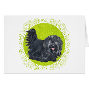 Skye Terriers Green Grass