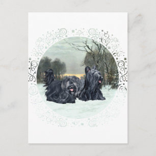 Skye Terriers Snowy Sunset Postcard