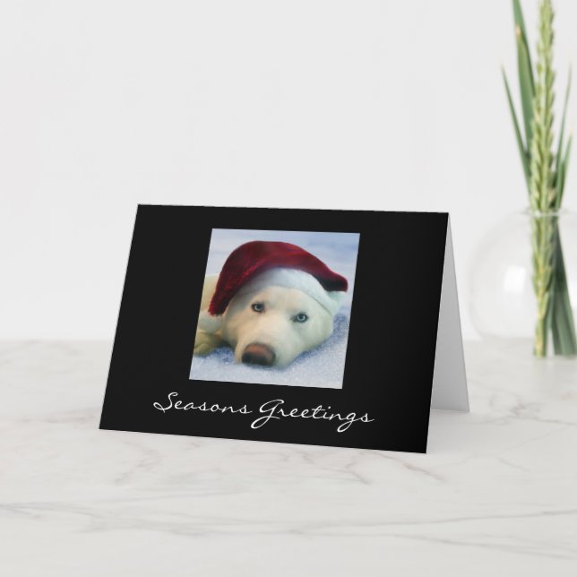 Skyla - Seasons Greetings Holiday Card (Front)