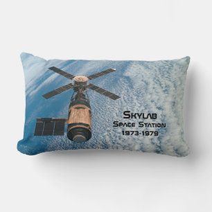 Skylab Space Station Lumbar Cushion