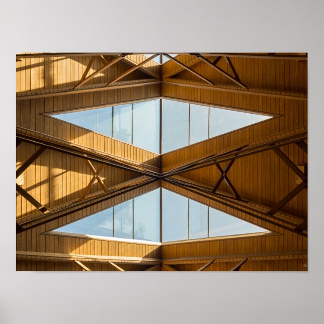 Skylights Above Anthony Poster (Front)