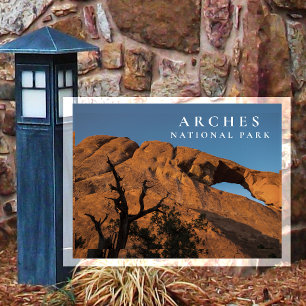 Skyline Arch, Looking Up Arches National Park Postcard