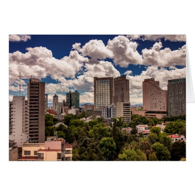 Skyline From The Hotels In Polanco Mexico City (Front Horizontal)