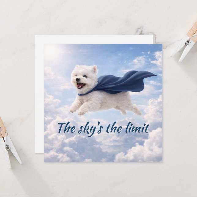 Sky's the Limit Card (Front/Back In Situ)