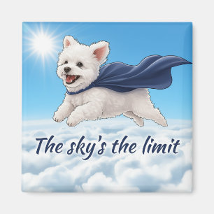 Sky's the Limit Magnet