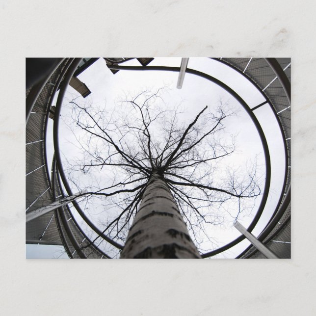 Sky's The Limit Postcard (Front)