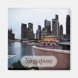 Skyscraper Views : Singapore Magnet