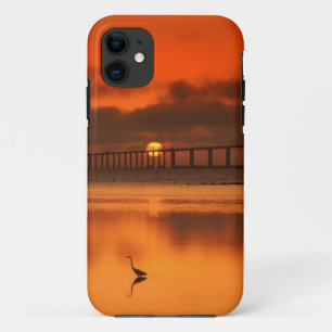 Skyway Bridge iPhone 11 Case