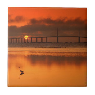 Skyway Bridge Tile