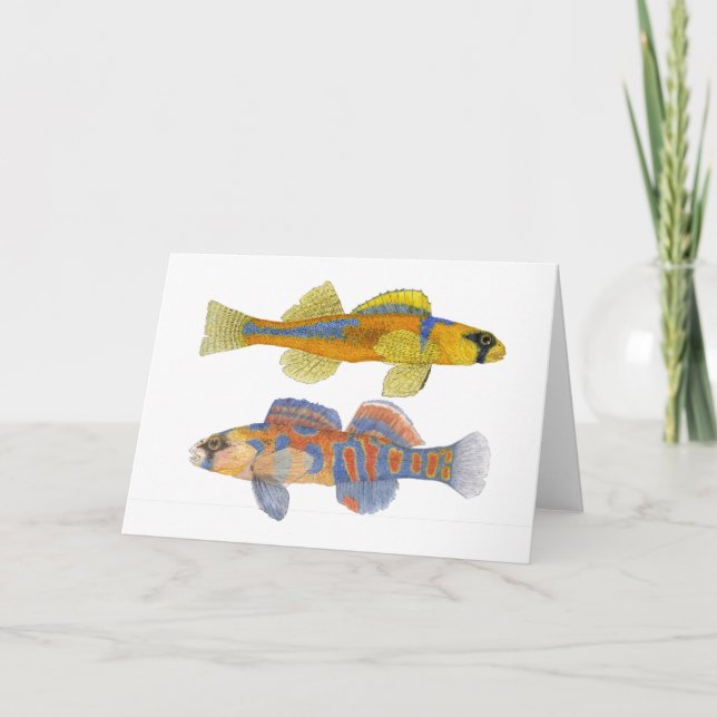 Slackwater & Orange-Throated Darters Card (Front)