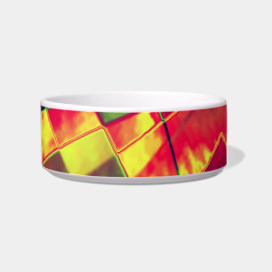 Slanted and frayed rectangles overlapping bowl