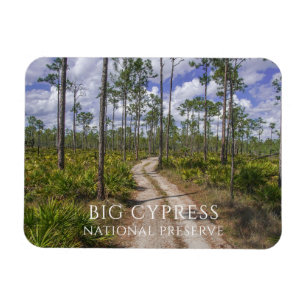 Slash Pine, Saw Palmetto, Big Cypress Preserve Magnet