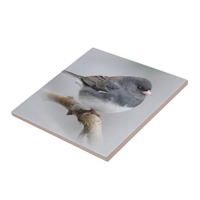 Slate-Coloured Dark-Eyed Junco on the Pear Tree Ceramic Tile (Side)