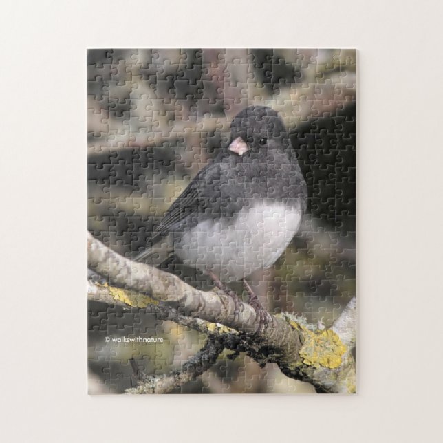 Slate-Coloured Dark-Eyed Junco on the Pear Tree Jigsaw Puzzle (Vertical)