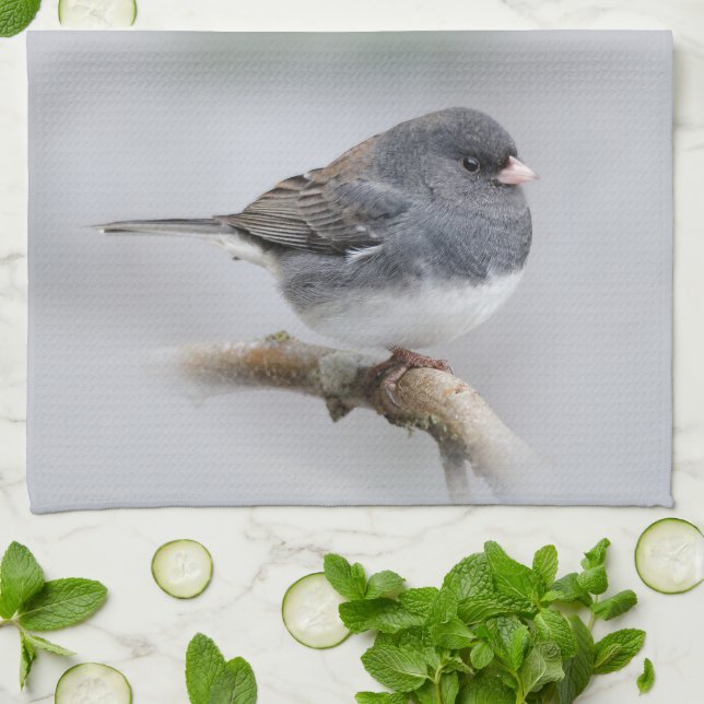Slate-Coloured Dark-Eyed Junco on the Pear Tree Tea Towel (Folded)