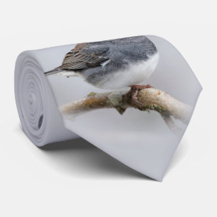 Slate-Coloured Dark-Eyed Junco on the Pear Tree Tie