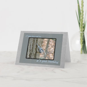 Slate Grey Nuthatch Birthday Songbird Card