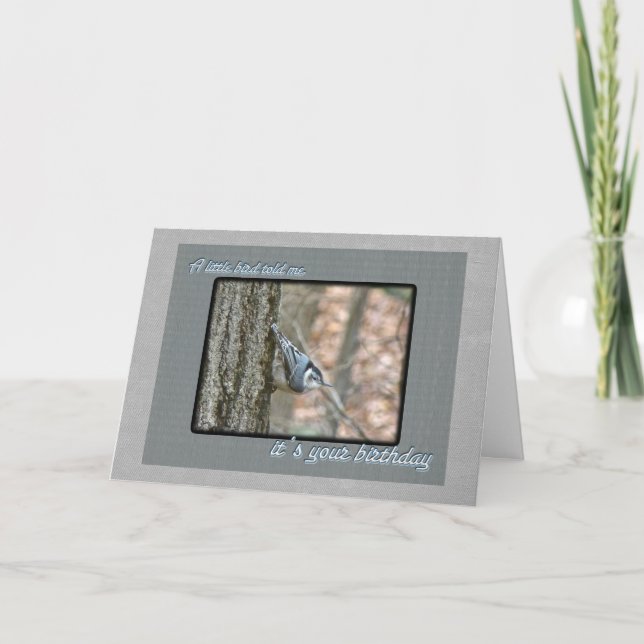 Slate Grey Nuthatch Birthday Songbird Card (Front)