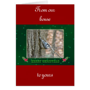 Slate Grey Nuthatch Christmas Songbird Christmas