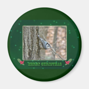 Slate Grey Nuthatch Christmas Songbird Christmas Magnet