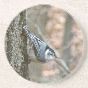 Slate Grey Nuthatch Songbird Coaster