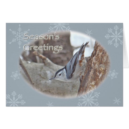 Slate Grey Nuthatch Songbird Seasons Greeting Card