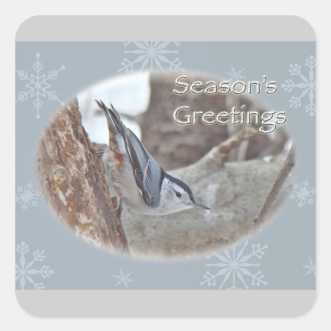 Slate Grey Nuthatch Songbird Seasons Greetings Square Sticker (Front)