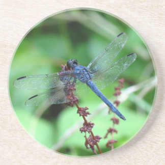 Slatey Skimmer Dragonfly Coaster