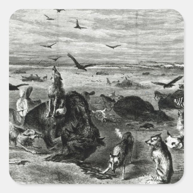 Slaughter of Buffaloes on the Plains Square Sticker (Front)