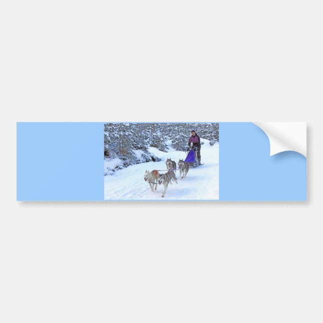 Sled Dog Racing Bumper Sticker (Front)