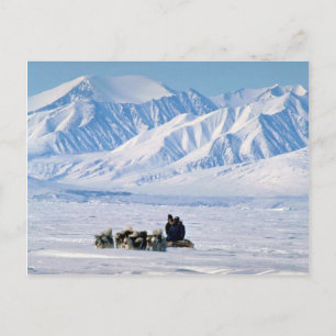 Sled dog travel, Baffin Island Postcard