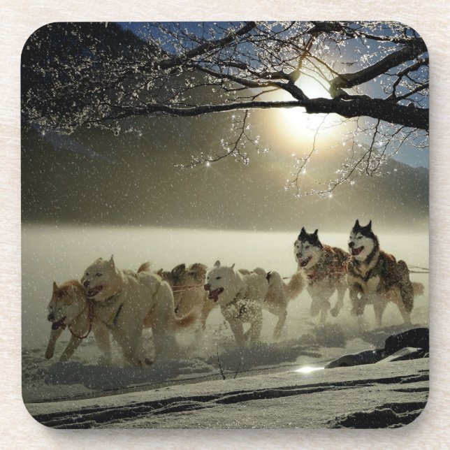 Sled husky race coaster (Front)