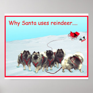 Sled Team Poster