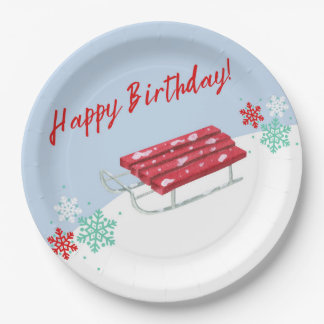 Sledding Winter Kids' Birthday Paper Party Plates