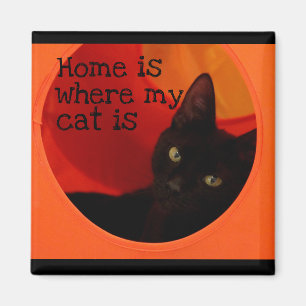 Sleek Black Cat with Gold Eyes Refrigerator Magnet